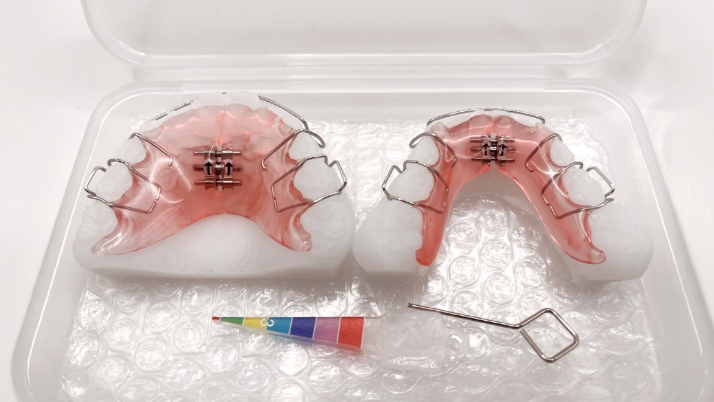 拡大床上下＋樹脂模型（ケース付き）